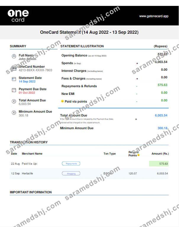 USA 1One Card statement Word and PDF template w
